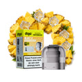 Vaporesso Dojo Blast X Nachfüllbehälter – Pineapple Ice – 20 mg/ml – 10 ml